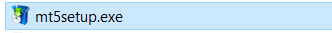 Archivo mt5setup.exe descargado en el equipo